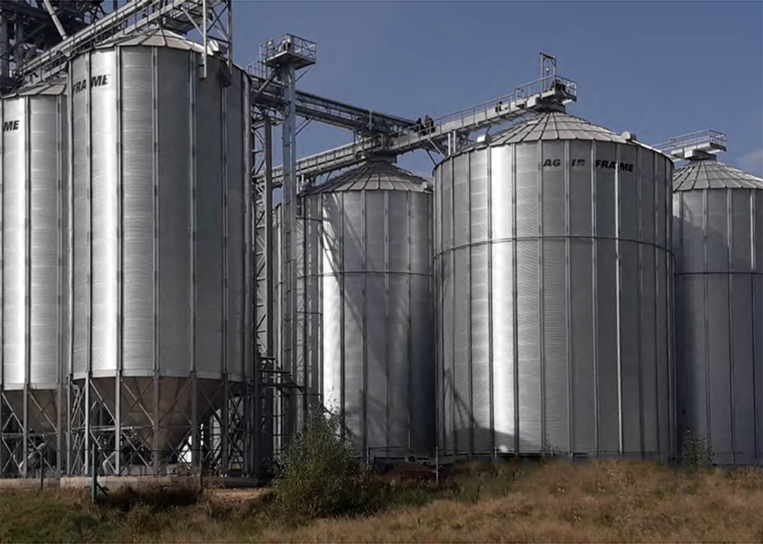 Склад сировини силосного типу для обслуговування заводу з виробництва рослинних жирів та білкових продуктів «Розточчя Інвест»